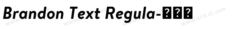 Brandon Text Regula字体转换 Brandon Text Regula字体转换